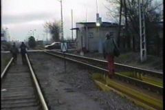 tory_01