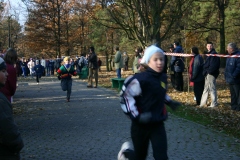 zdj_039