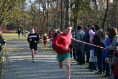 zdj_059