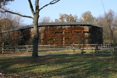 zdj_062