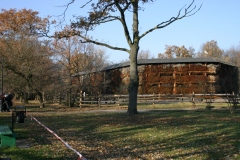 zdj_063