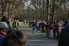 zdj_071