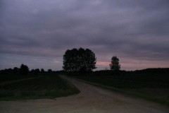 IMG_7668