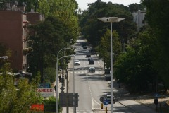 IMG_9905