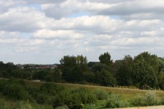IMG_9921