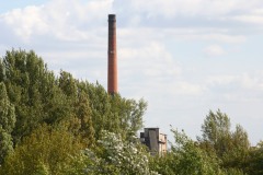 IMG_9943