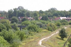 IMG_9944