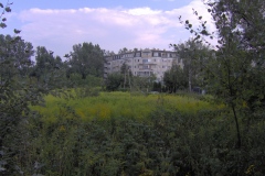 IM000102.JPG