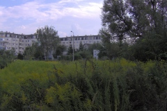 IM000103.JPG