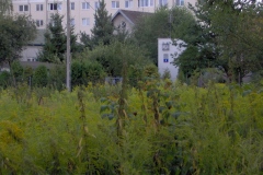 IM000104.JPG