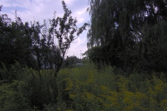 IM000105.JPG