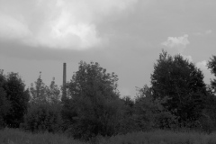 IM000108.JPG