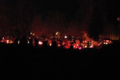 IMG_1155
