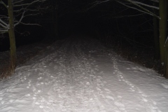 DSC06126