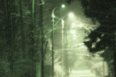 DSC06141