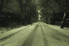 DSC06152