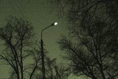 DSC06153