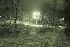DSC06174