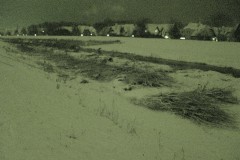 DSC06203