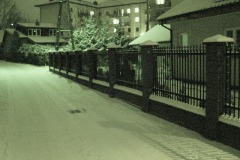 DSC06208