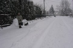 IMG_1960