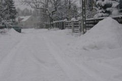 IMG_1961