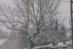 IMG_1962