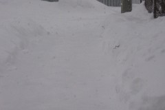 IMG_1964