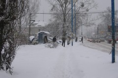 IMG_1968