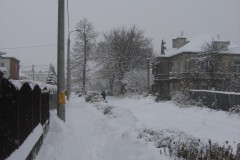 IMG_1969