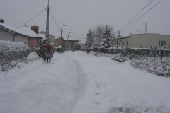 IMG_1970