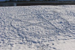 IMG_2221