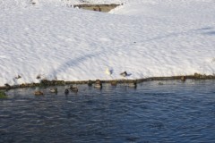 IMG_2224