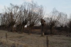 DSC07160