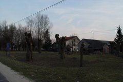DSC07162