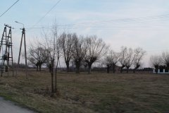 DSC07163