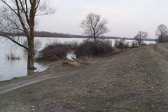 DSC07171