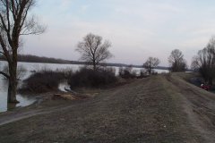 DSC07173