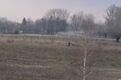 DSC07193