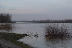 DSC07195