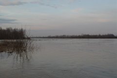 DSC07197