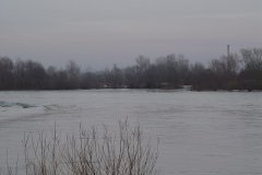 DSC07200