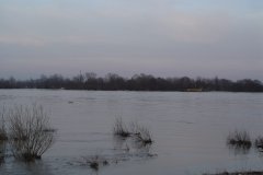 DSC07201