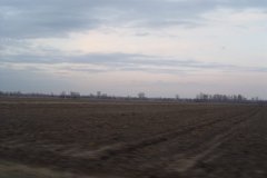 DSC07209