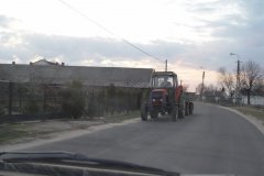DSC07210