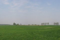 panorama_gozdzie