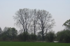 IMG_2717