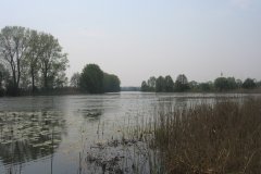 IMG_2859