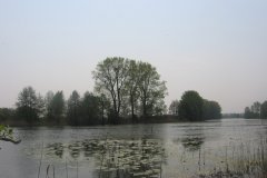 IMG_2860