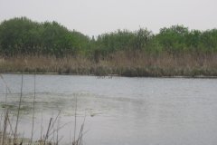 IMG_2868